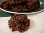 American Fudgy Coconut Oatmeal Cookies Appetizer