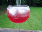 Kates Afternoon Wine Cooler zwt  France recipe