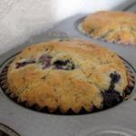 British Blackberries Muffins Dessert