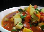 American Brown Lentil and Vegetable Soup Appetizer