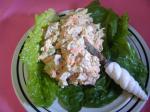 American Chicken Salad With Herbs sandwiches Appetizer