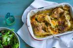 British Baked Chicken with Haloumi kotopolulo Sto Fourno Me Haloum Appetizer