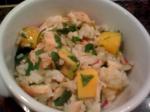 American Chicken Mango and Rice Salad Appetizer