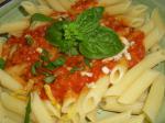 British Thick Cheesy Tomato Lentil Pasta Sauce Dinner