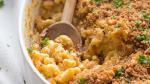 American Noboil Mac and Cheese Appetizer