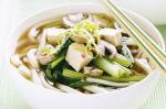 American Spicy Mushroom And Choy Sum Udon Noodle Soup Recipe Appetizer