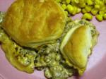 American Easy Hamburger and Biscuit Bake Appetizer