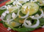 American Spinach Cucumber Feta and Red Onion Salad Appetizer