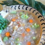 American Hearty Soup Chicken with Vegetables and Gort Appetizer