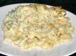 American Macaroni and Cheese  Butchers Chop House and Bar Appetizer