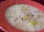 Dutch Wisconsin Dutch Cabbage Soup Appetizer