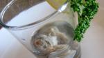 Canadian Oyster Shooter Recipe Appetizer