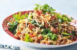 American Peking Noodles Recipe Appetizer