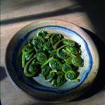 Canadian Fiddleheads Appetizer