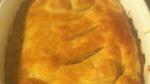 British Burgundy Chicken Pie Recipe Appetizer