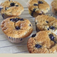 Canadian Blueberry Muffins Dessert