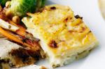 American Potato Gratins Recipe Appetizer