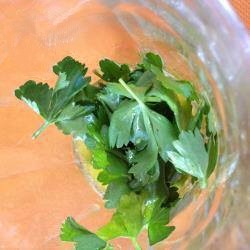 American Lemon Dressing with Parsley Dessert