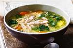 American Chicken Noodle Soup Recipe 25 Dinner