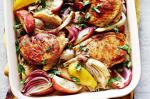 American Ciderroast Pork Cutlets With Apple And Fennel Recipe Appetizer