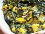 American Yellow Squash and Spinach Casserole Appetizer