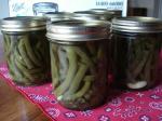 Canadian Pickled Green Beans dilly Beans 1 Appetizer