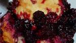 Australian Blackberry Cobbler Ii Recipe 1 Dessert