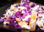 Australian Red Cabbage and Fruit Slaw Appetizer