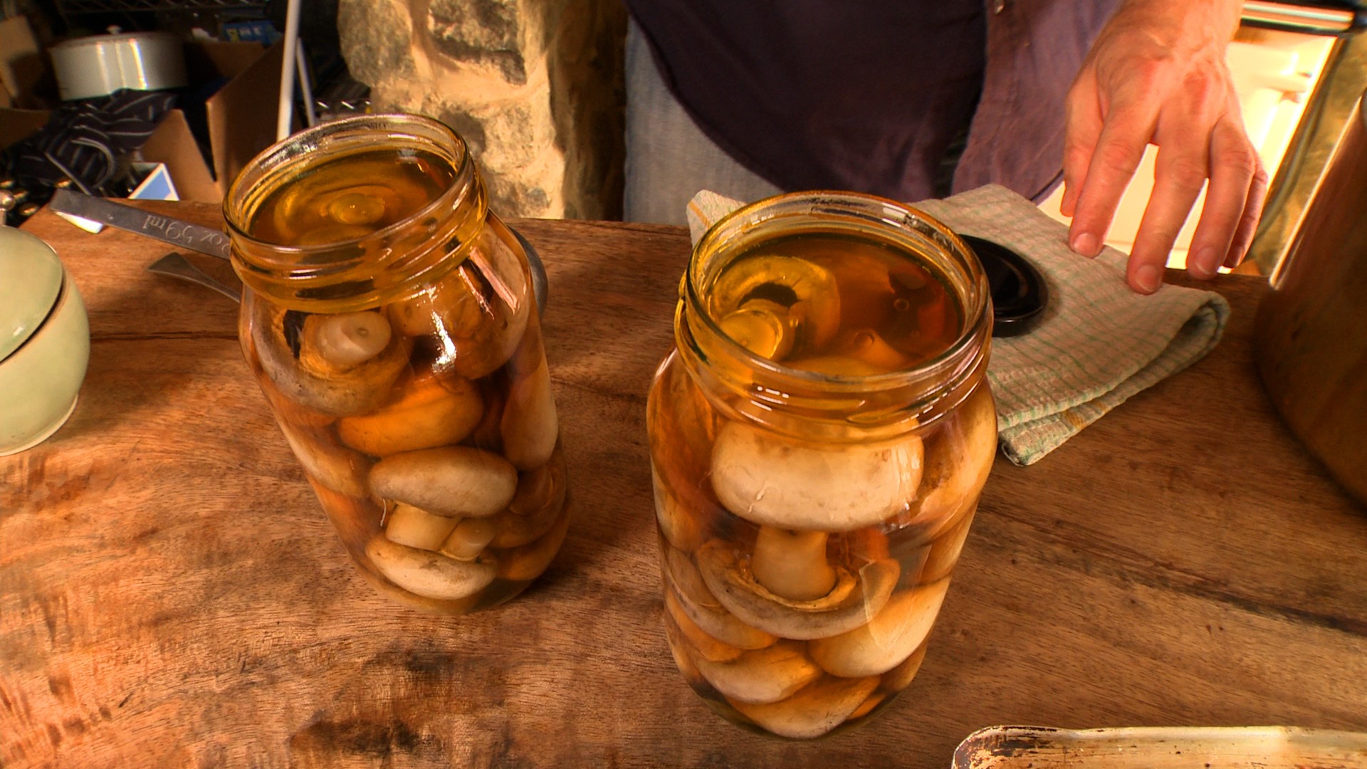 Australian Preserved Mushrooms in Vinegar Appetizer