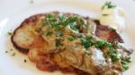 Australian Potato Pancakes with Mushroom Sauce placki Ziemniaczane Z Sosem Grzybowym Appetizer