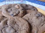 American Raisin Molasses Sugar Cookies Dessert