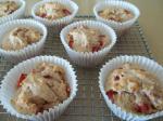 Polish Diabetic Muffins Dessert