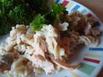 American Noguilt Creamy Salmon and Pasta Dinner