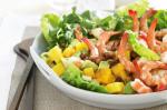 American Prawn Mango and Caramelised Walnut Salad Recipe Appetizer