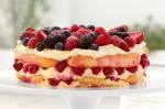 American Raspberry And Frangelico Tiramisu Cake Recipe Dessert