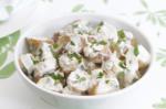 American Tahini And Yoghurt Potato Salad Recipe Dessert