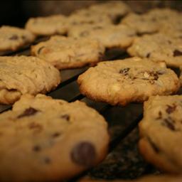 Australian Peanut Butter Chocolate Cookies 2 Dessert