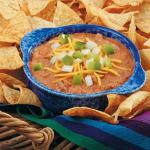 American Venison Cheese Dip Appetizer