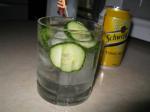 Australian Cucumber Gin and Tonic Appetizer