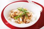 Japanese Chicken Donburi Recipe Appetizer