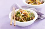 American Asian Beef Noodle Salad Recipe Appetizer