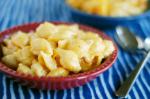 Canadian Grandma Sugars Shell Macaroni and Cheese Dinner