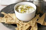 American Warm Fennel Dip Recipe Appetizer