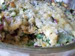Canadian Spinach Rice Gratin Recipe Appetizer