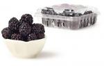 American Blackberry Crumb Bars Dessert