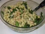Australian Cavatappi With Spinach Beans and Asiago Cheese 1 Appetizer