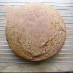 Australian Wheat Wholemeal Bread Appetizer