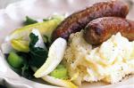 British Pork Sausages With Witlof Salad and Parsnip Mash Recipe Appetizer