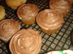 Australian Glutenfree Sugarfree Vegan Vanilla Cupcakes With Chocolate Dessert