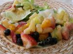 American Amazing Fruitlettuce Salad Other
